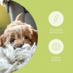 Mammaly Puppy Power 110g -FRESSNAPF Geschäfte c7cef81181d0b2152b816e59970ecf56019ccf1c 1472892 4