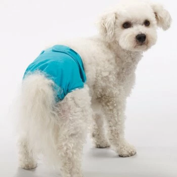 SIMPLE SOLUTION Bramton Waschbare Hundewindel XS 4 SIMPLE SOLUTION Bramton Waschbare Hundewindel XS – Bild 2