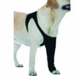 Trovet Suitical Recovery Sleeve XS -FRESSNAPF Geschäfte cbe6caf7c408b912912bb034132ced6c1bc4b1aa 465e9cc611970033ff76d3b118b375a10b2c340f