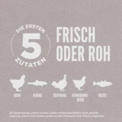 Orijen Fit & Trim 2 Kg -FRESSNAPF Geschäfte cbec7988aaff68d90a2476320b16894e2894f6be 1261020 de DE ORI Fit Trim Dog Carousel 2000x2000 DE 1