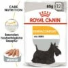 ROYAL CANIN Dermacomfort 12x85g -FRESSNAPF Geschäfte cd66adbeb112d8b4449ca88ca88d62a13de2b463 e80f4a6651615b70a3941d70af71b58909332d87