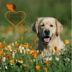 Fit-Crock Sensitive Lamm Maxi -FRESSNAPF Geschäfte d00400b932705a0032def11340b375b7a4768c37 1687104 de DE 417fc4870025ac118e61255c96af7b753dccbaf9PWDYNi