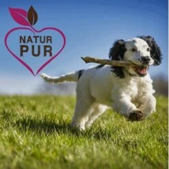 Fit-Crock Active Lamm Mini 10 Kg -FRESSNAPF Geschäfte d086dad7100dbdf41486dc1e184e8b3e19e70f2f 1669874 de DE e6cef6c805493de794606a88a99e94e07eba83d7iihYJV