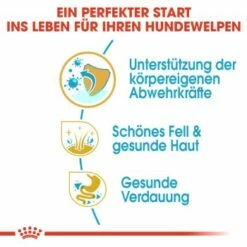 ROYAL CANIN Cocker Puppy 3kg 13 ROYAL CANIN Cocker Puppy 3kg -FRESSNAPF Geschäfte d09db99df8977fd356bfbf3ec4e0d5dbd06d6685 9b48739b149c40776be9d6d9578e5bb5ac3f8aee