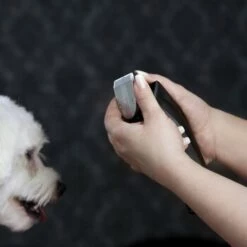 Moser Schermaschine Arco Pro -FRESSNAPF Geschäfte d1c65d2d167a6d8fa4a6793a53ee3362d025451e ecb090312fbe9e8eac9c719cb575336bebaad472