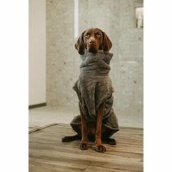 Lills Lill's Hundebademantel "Night Blue" 35 Cm 7 Lills Lill's Hundebademantel "Night Blue" 35 Cm -FRESSNAPF Geschäfte d200b579b2b65ad9031ca5a6286c317e485ef232 1653379 de DE 98bc74239c4ab048310224eeb67c837697c0c318SRPWrI