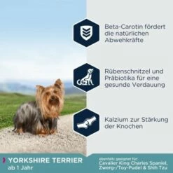 EUKANUBA Breed Specific Yorkshire Terrier 2kg -FRESSNAPF Geschäfte d2d88bd5978c0492f3de222e84d02a53e0ab9129 86d3ab251b2e188cb3577aa52627db4b7aa1560d