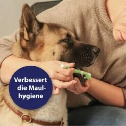 Canosept Zahnpflege-Set Für Hunde 12 Canosept Zahnpflege-Set Für Hunde -FRESSNAPF Geschäfte d3527ed20311c26905cc21d326812cefdd56476d 1382706 de DE f1dd7678e896b8abfecbaf661ecaf238a0e628638erujn