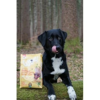 WOW Junior Geflügel Mit Karotte 6 Kg 4 WOW Junior Geflügel Mit Karotte 6 Kg – Bild 2