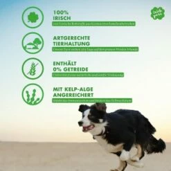 Irish Pure 12 X Freiland-Huhn (Junior) -FRESSNAPF Geschäfte d688e71d8c29d05425c38b35fb42cc408452dc99 1654792 de DE 3f0168505ec72f5fbfb5e3517762b2a2c9dfa49etNvuDX