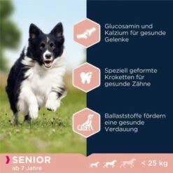 EUKANUBA Senior Small & Medium Breed Lamm & Reis 12 Kg -FRESSNAPF Geschäfte d6ab91a099af21f8767b6e3ef91e63c46e7659a9 38e1b9385153b1f6364894e35d40afe9cd5b0cab