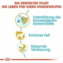 ROYAL CANIN Poodle Puppy 3kg -FRESSNAPF Geschäfte d85ac403c47aed96fc4971788a290d1a23bbe67f e0ab538c5a3f428d49f7b31083a4afb802078973