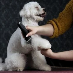 Moser Schermaschine Arco Pro -FRESSNAPF Geschäfte d94979d61f2023cf0118c8257a8bd4066fa8858b ed4a0b808fc43743a84927566ac43a708eadd5ba