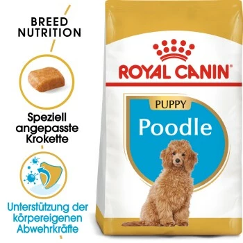 ROYAL CANIN Golden Retriever Puppy 12 Kg 4 ROYAL CANIN Golden Retriever Puppy 12 Kg – Bild 2