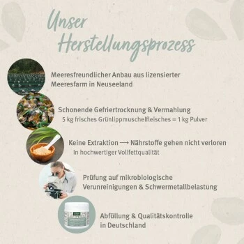 Aniforte Grünlippmuschelpulver Vollfettqualität 100 G 6 Aniforte Grünlippmuschelpulver Vollfettqualität 100 G – Bild 4