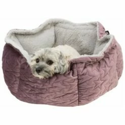 Trixie Bett Estelle Samt-Optik ø 50 Cm Beere/ Grau -FRESSNAPF Geschäfte daaa6a418407f3b2da35519aef8fc7bc380fccc8 1378629 de DE Trixie 5