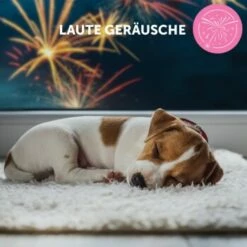 ADAPTIL Junior Halsband Anti Stress Erziehungshalsband 21 ADAPTIL Junior Halsband Anti Stress Erziehungshalsband -FRESSNAPF Geschäfte db33920bc3d21bba892bdb530582f20170b9cd84 1287044 9