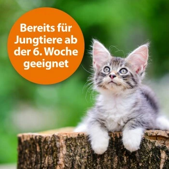 Ardap Zecken- Und Flohpuder 150g 6 Ardap Zecken- Und Flohpuder 150g – Bild 4