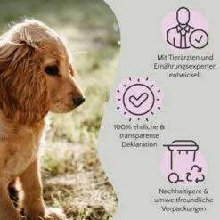 FAVLY Petfood FAVLY Probierpaket "Starter" -FRESSNAPF Geschäfte dbf0342643afa9a24ad89aa12b091729873bd5f5 1475313 de DE 908544d2c24927cde4ce8f1acefe41ebea7bec298Nltw8