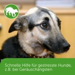 ADAPTIL Chew 30 Stück Anti Stress Snack -FRESSNAPF Geschäfte dd1f44620defd2e7a86c6271361fb23975f08b2f 1374744 3