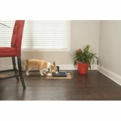 PetSafe Digitaler Futterautomat Für 2 Mahlzeiten -FRESSNAPF Geschäfte dd3fb1748ad72abb1dbd97f6f077b00bb4d76d05 1291255 de DE cf72a75b3fd4f7fd8b7e51ea368585b22239110fFJga5O