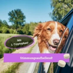 BeG Buddy Beruhigungsmittel Anti Stress 8 BeG Buddy Beruhigungsmittel Anti Stress -FRESSNAPF Geschäfte ddc1e9e1d88563aceadeb5fa448757e70d8a4fe5 1457250 de DE 96b245ce7fcfc69c5c78e32430537db2cfb03e21Khyk6l