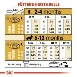 ROYAL CANIN Cocker Puppy 3kg 11 ROYAL CANIN Cocker Puppy 3kg -FRESSNAPF Geschäfte ddd147743b29b18bc3e9405f76dd8219a9f74e0a 44f98ab6bc5d44ab4dd8d445d1821166c5a91afa