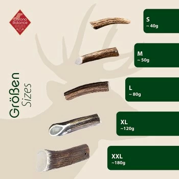 ChronoBalance Geweih Halbiert (L) 2er Paket 7 ChronoBalance Geweih Halbiert (L) 2er Paket – Bild 5