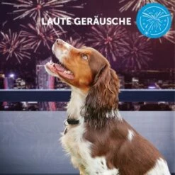 ADAPTIL Calm Halsband Anti Stress Erziehungshalsband S-M -FRESSNAPF Geschäfte e065c94a1eadac38177e4f3120e975f32282355e 1204441 10