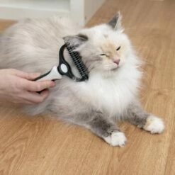 KaraLuna Unterfellbürste -FRESSNAPF Geschäfte e0e7f4b3ef49c70421b21094c2615519c93a1a3e 1407475 de DE 78030a6cd3af146aa7eb3f83fa2322b52c78816a2jpF0U