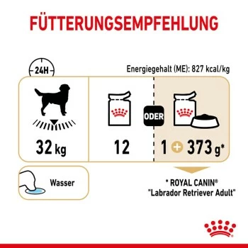ROYAL CANIN Labrador Retriever Adul Stückchen In Soße 10x140g 7 ROYAL CANIN Labrador Retriever Adul Stückchen In Soße 10x140g – Bild 5
