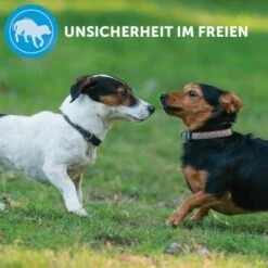 ADAPTIL Calm Halsband Anti Stress Erziehungshalsband S-M -FRESSNAPF Geschäfte e220fc002f83144152ad7157c15120ad2d9d8471 1204441 8