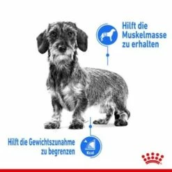 ROYAL CANIN Light Weight Care Adult Pouch 12x85g -FRESSNAPF Geschäfte e25126e3d9ad03dfb13ab3dcd0b7898f21116a49 db099535ca14d5ccab562c519a3a458f233df36c