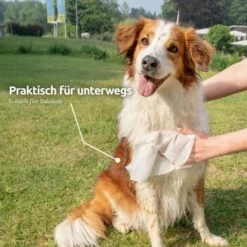 Aniforte Pflegetücher 100 Stück -FRESSNAPF Geschäfte e365b8abe40c079512459251ed7a0e0087ff8345 1439276 de DE e9b1c5cd3e053b4194f300ca56919dacbe6d40f5HoicFY