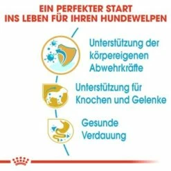 ROYAL CANIN Dachshund Puppy 1,5 Kg -FRESSNAPF Geschäfte e3df83c3b9917ba5290ed079cb75903564bc4f9a d6125ad14b68f433ba6665255282b1c9a079a01e