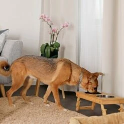 Lionto Hundenapf Aus Bambus, Futterstation -FRESSNAPF Geschäfte e407bd5a8062235d6df591263a6ef3180dc94cc2 1665995 de DE 162ba6c1e7567660cedf4e14a34b75d8c0bf591biQNwL2