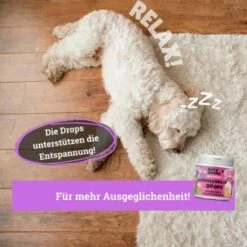 BeG Buddy Beruhigungsmittel Anti Stress 10 BeG Buddy Beruhigungsmittel Anti Stress -FRESSNAPF Geschäfte e508e321b670c48b8e0200cb260a2948b686e5df 1457250 de DE b3b765708a527c30f34f0f58c8595c44fbb0998aiAYJk8