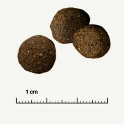 REAL NATURE WILDERNESS Desert Sands Kamel & Pferd 12 Kg -FRESSNAPF Geschäfte e593299b652dffebc36cd625a372440b9780dd80 1297079 de DE 6