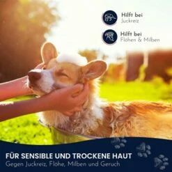 Pawlie's Sensitiv Hundeshampoo Für Hunde -FRESSNAPF Geschäfte e89fe06ff66f08049212bfc10adc10153aeb63cf 1626194 de DE 4976fc58bb1aa66ec74bbce2250fc22a134be1c3oYKgL0