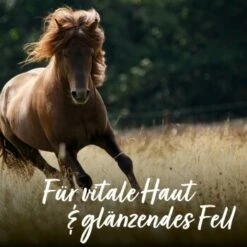 Aniforte Bierhefe Pulver 250 G -FRESSNAPF Geschäfte e90f799f42291bc99923416c38244a01fcbd0b4c 1665877 de DE 065f59ee75fc3ae72a0315edf84d964644e562bc3Nrs7r