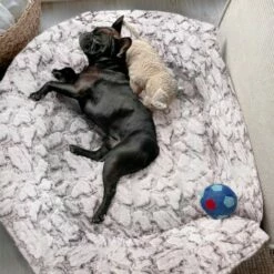 Wallace & Jones Hundebett Cordo-Heaven S 16 Wallace & Jones Hundebett Cordo-Heaven S -FRESSNAPF Geschäfte e93a1c7230d5e68bce6327ea17899707386bce88 1449008 de DE cd9be4db759cf7be03c3a1803409c0da67c4816eifOskb