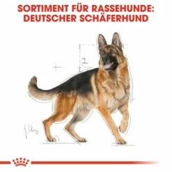 ROYAL CANIN Deutscher Schäferhund Adult 11 Kg -FRESSNAPF Geschäfte e9cdd4bccca28fab02a00815a120dd87036591e8 8da61ea876c2efb3fc2108d51700aba967e57469