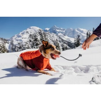 Ruffwear Huck-a-Cone™ Spielzeug Gelb 7 Ruffwear Huck-a-Cone™ Spielzeug Gelb – Bild 5