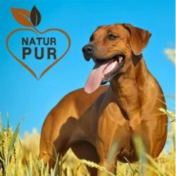 Fit-Crock Basic Rind Maxi -FRESSNAPF Geschäfte ec357c554beb4e37f8bb7a6fb10e9f8ab884c69d 1687103 de DE c323a5c257120307a86f095cf5f49de81ac2f711Ful2Am