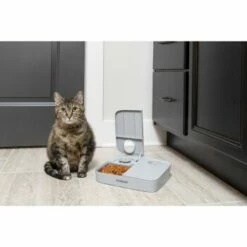 PetSafe Futterautomat Für 2 Mahlzeiten -FRESSNAPF Geschäfte ecfa45428902a757dc7016a44357eeb1f8b25a89 1343837 6