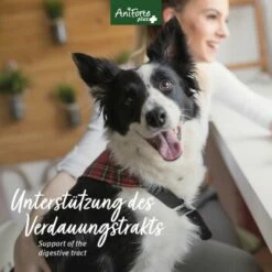 Aniforte Plus Magen & Darm 90 Tabletten 9 Aniforte Plus Magen & Darm 90 Tabletten -FRESSNAPF Geschäfte ee4705a2057b1edfe526ac54d24ab38e77b08466 1455900 de DE 5c17b7bc229b49c1931595cd931e95f6c72ef6cddQne1A
