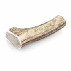 Larsson Geweih L Ca. 120-160g -FRESSNAPF Geschäfte eedd964b32fc746dd3f4ed471e3e2cab3755f705 1057933 de DE 97deed0735eed1582eb8fafdcd8c54066b467cfdFxGa39