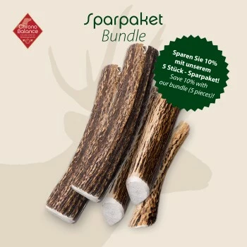 ChronoBalance Rothirsch Geweihstange Ganze Und Runde Stücke 300 G 4 ChronoBalance Rothirsch Geweihstange Ganze Und Runde Stücke 300 G – Bild 2
