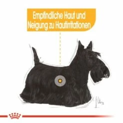 ROYAL CANIN Dermacomfort 12x85g -FRESSNAPF Geschäfte f025218e3734e4ef2bacefaa65e8366d2f0017c2 3d7369da65a5a0ca4b90b5a0e66cc99a26067f6e