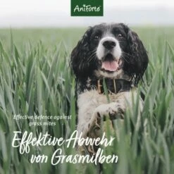 Aniforte Grasmilben-EX Spray Für Hunde 500ml 8 Aniforte Grasmilben-EX Spray Für Hunde 500ml -FRESSNAPF Geschäfte f1681a58b880d49267b5877e09c99fc6406a033b 1655910 de DE e3905507b4127feea49671bfd5a4aadf45361666Vq4xRH